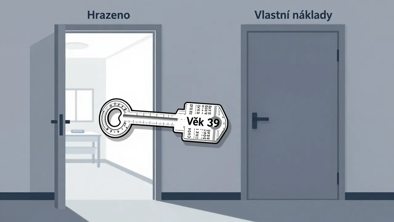 Klíč z medicínských dokumentů otevírá dveře s nápisem 'Hrazeno', druhé dveře jsou zavřené s nápisem 'Vlastní náklady'.